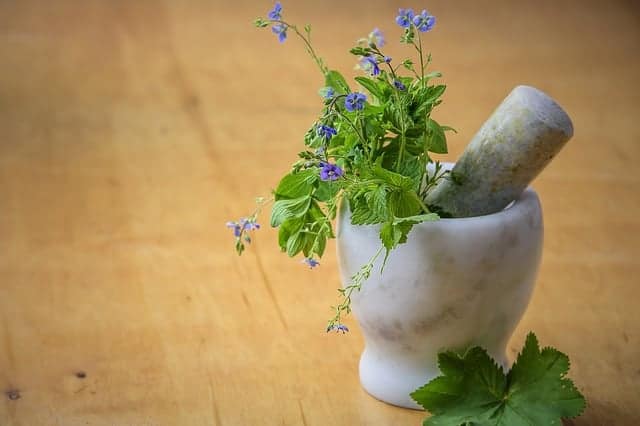 des herbes pour dormir