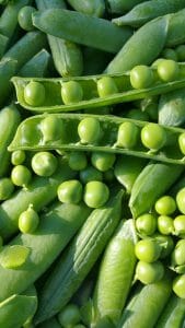 pois vert