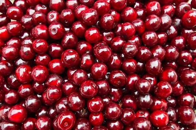 cerises